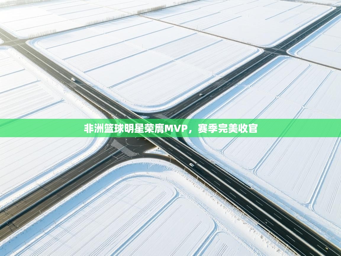 开云体育在线登入-非洲篮球明星荣膺MVP，赛季完美收官  第2张