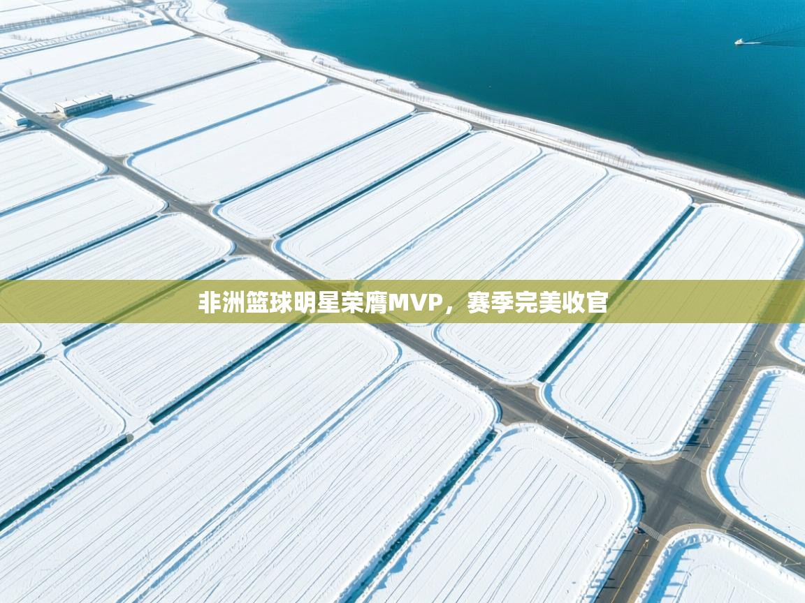 开云体育在线登入-非洲篮球明星荣膺MVP，赛季完美收官  第4张