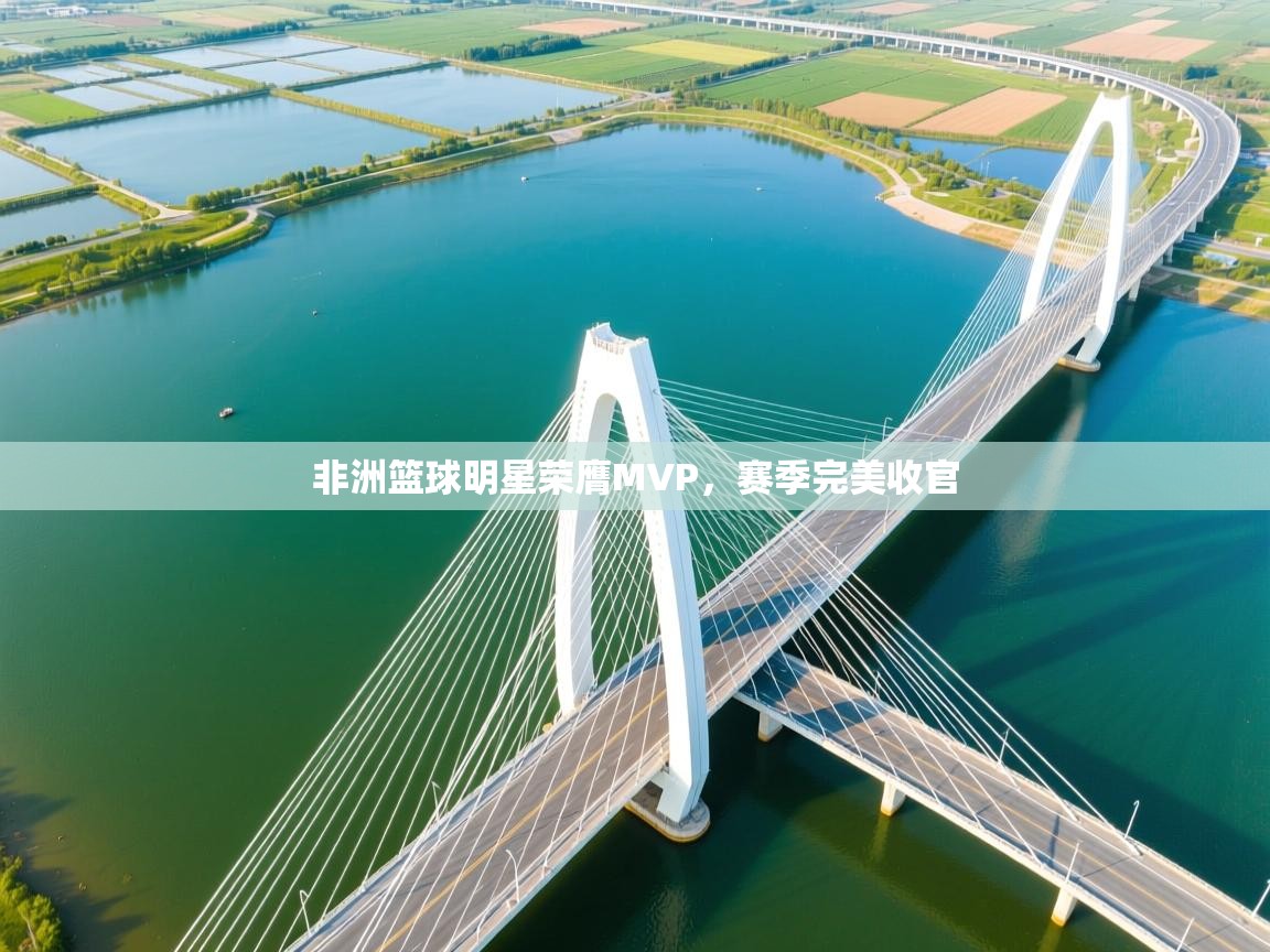 开云体育在线登入-非洲篮球明星荣膺MVP，赛季完美收官  第3张