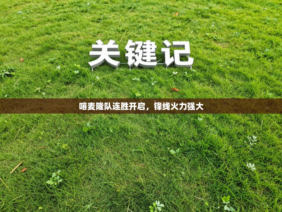 开云体育新人指引-喀麦隆队连胜开启，锋线火力强大  第3张