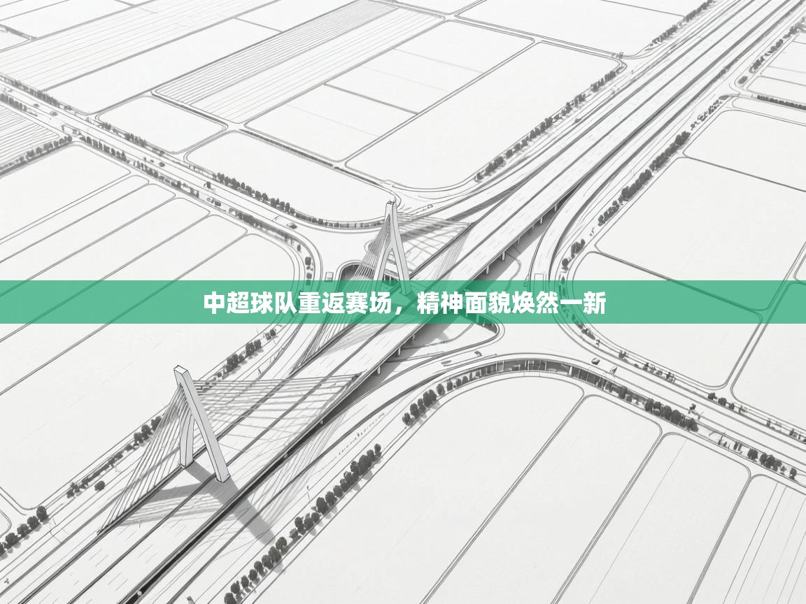 云开体育app官网登录入口-中超球队重返赛场，精神面貌焕然一新  第3张