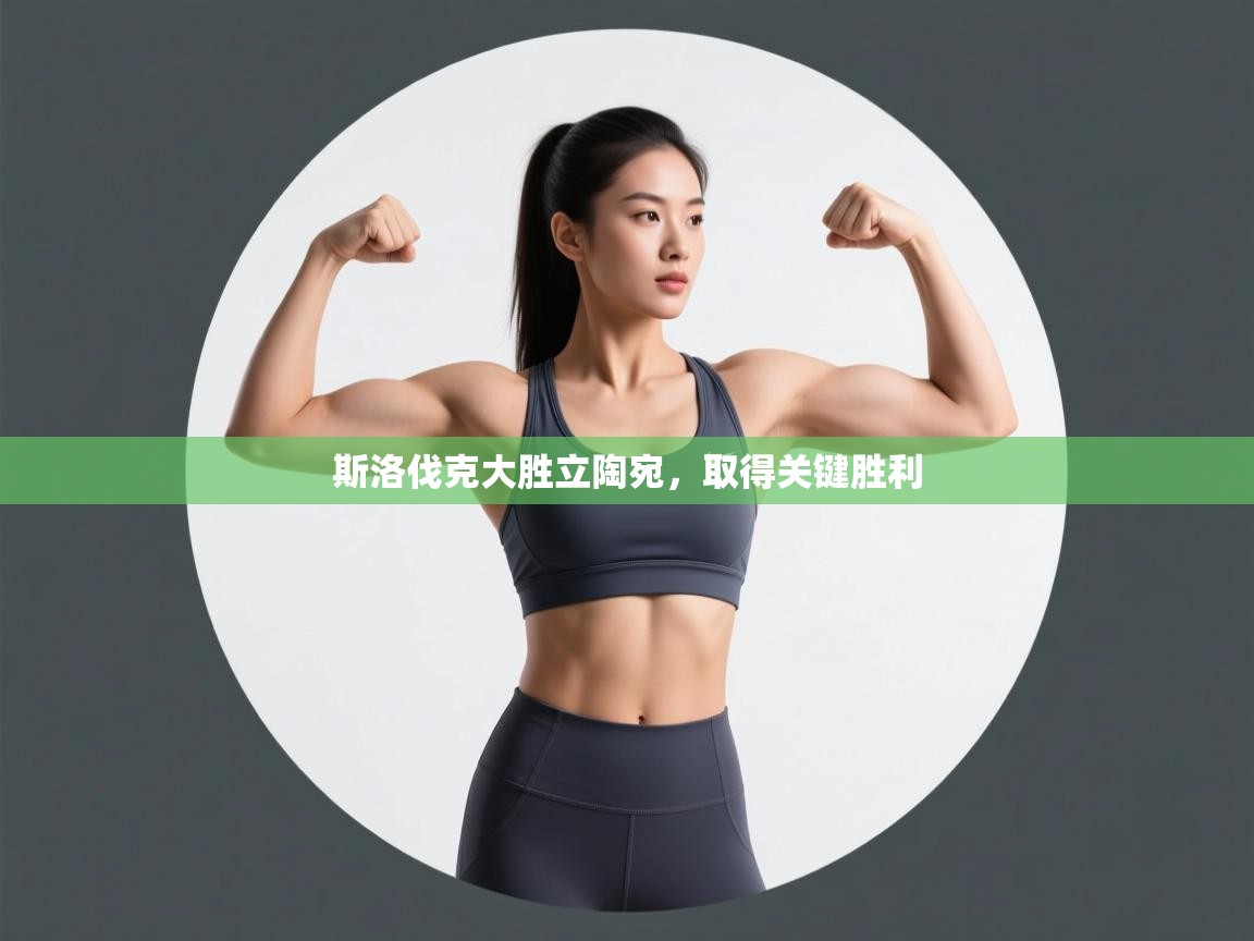 开云体育账号申诉通道-斯洛伐克大胜立陶宛，取得关键胜利  第3张