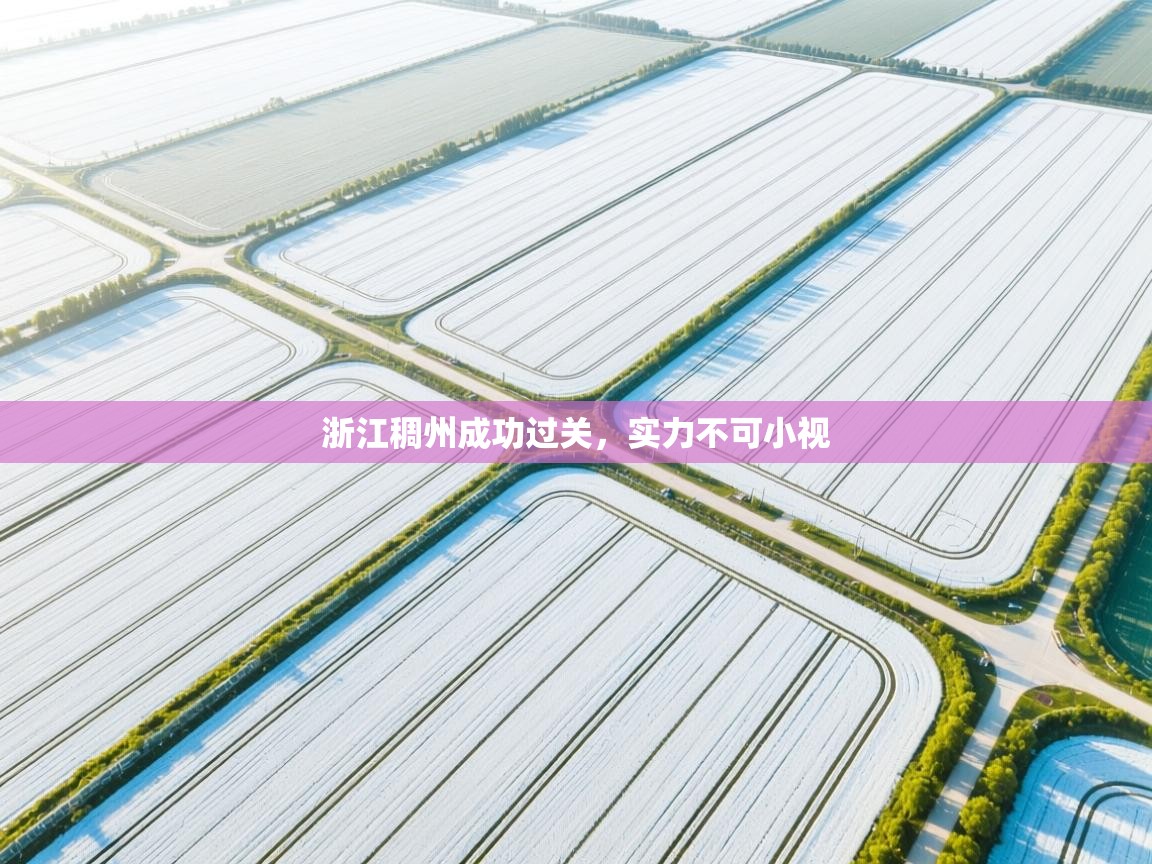 云开体育官网-浙江稠州成功过关，实力不可小视  第2张